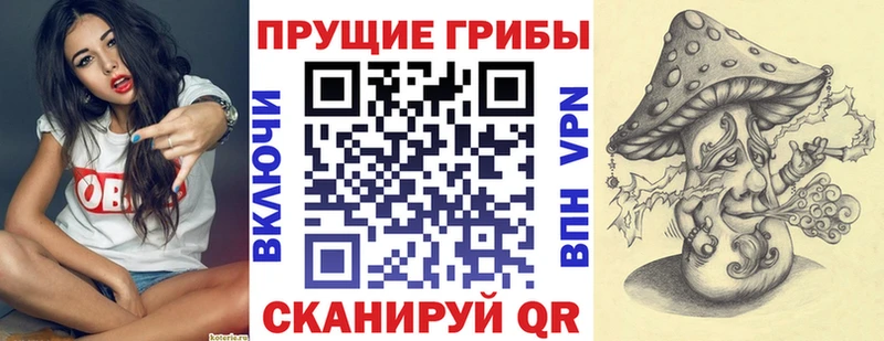 Псилоцибиновые грибы GOLDEN TEACHER  Железноводск 
