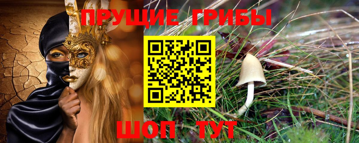 Галлюциногенные грибы прущие грибы  Вход с VPN  Железноводск 